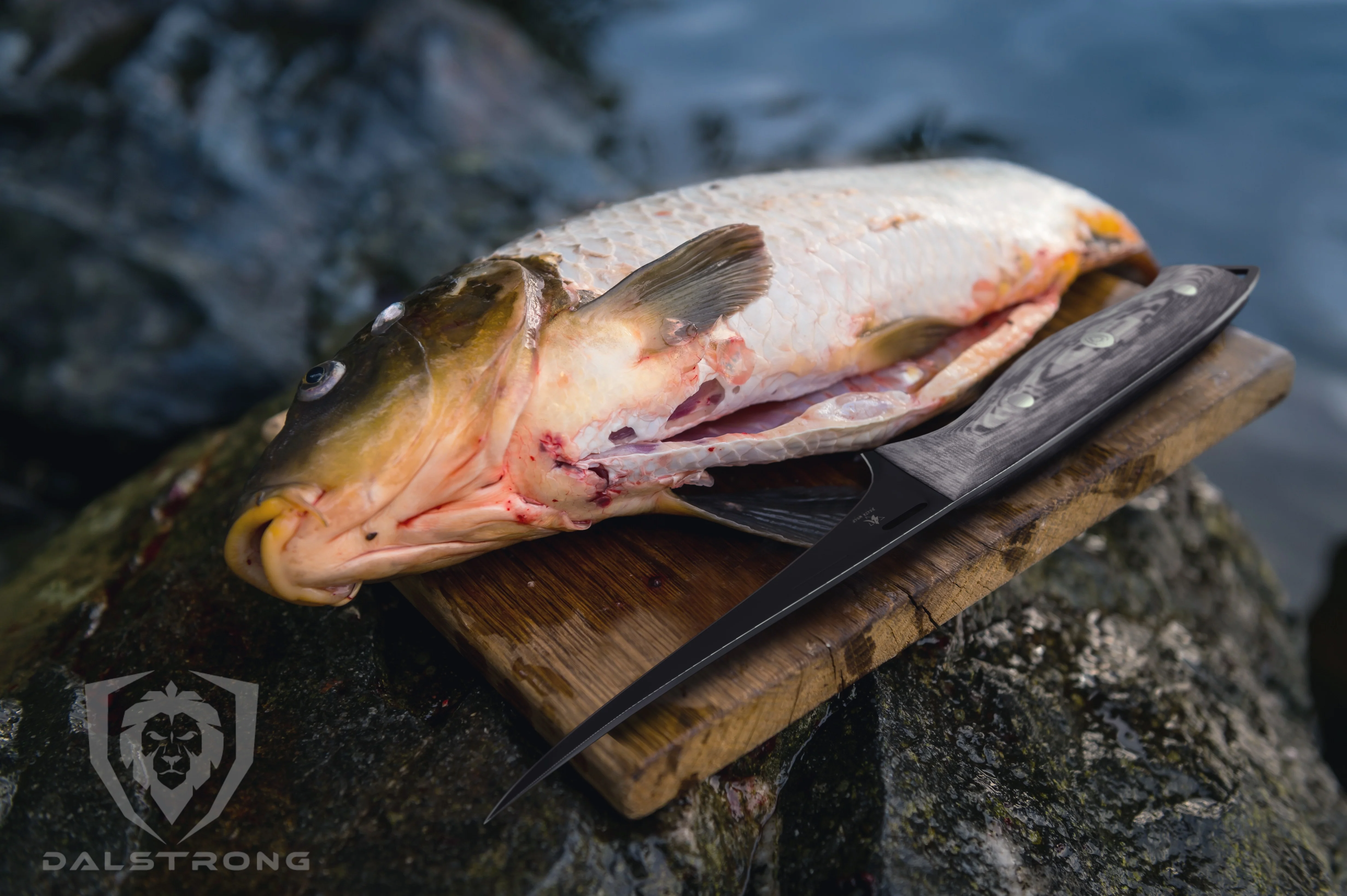 Fillet Knife 6" | Delta Wolf Series | Dalstrong © - Image 11